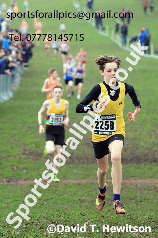 Boys Under-13s, 2024 CAU Inter Counties Cross Country Champs., Wollaton Park, Nottingham. Photo: David T. Hewitson/Sports for All Pics